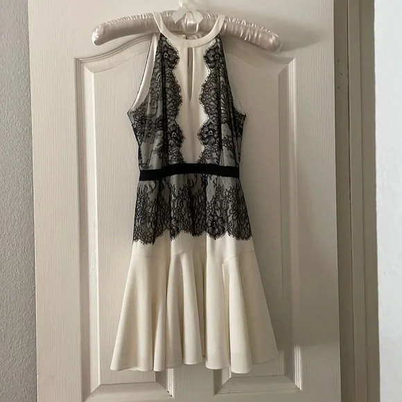Gorgeous BCBG Max Azria cocktail dress, size 2.
